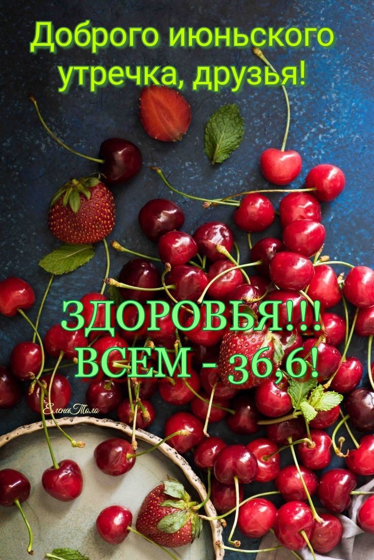 5913 ЗДОРОВЬ Гтф ВСЕМ 3696м Ьхёгр