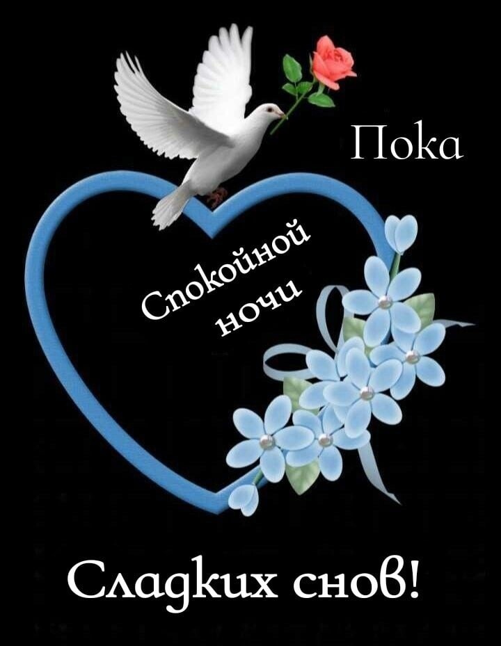 САа91шх сноВ