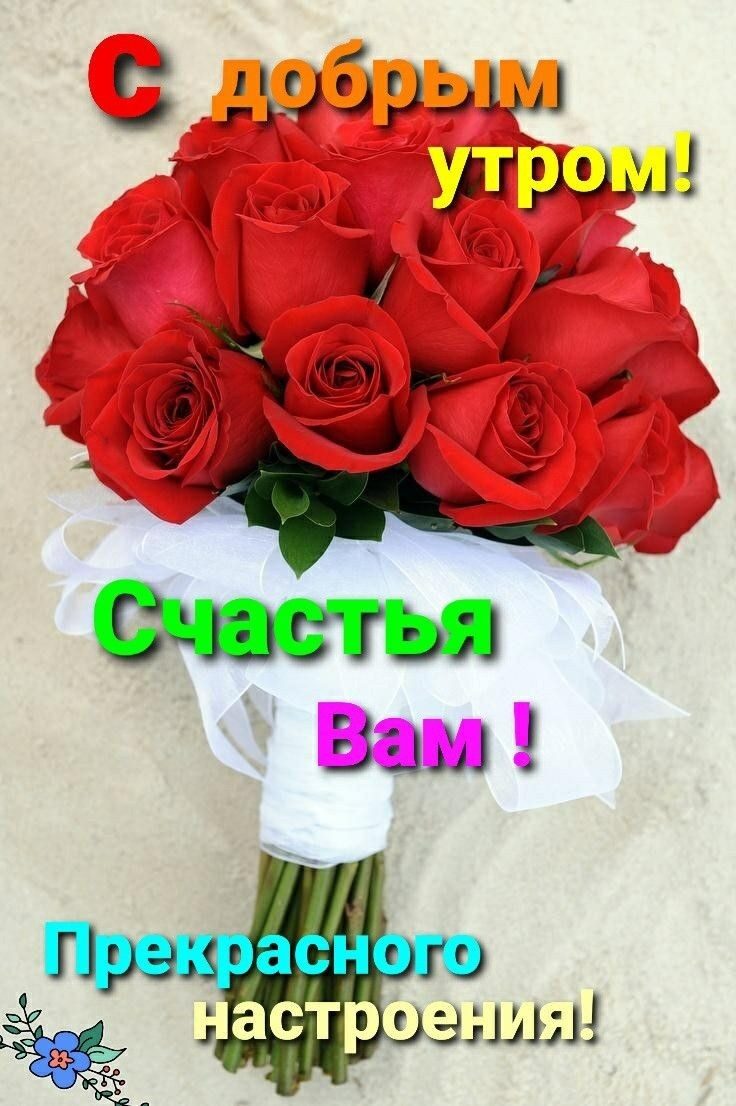 С лодомы