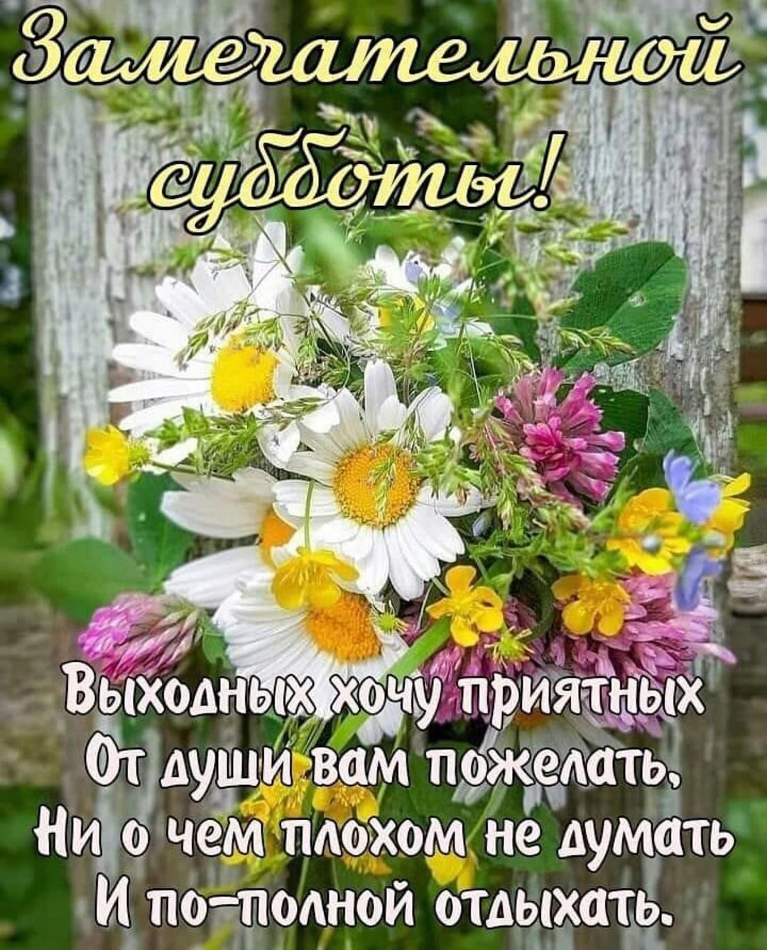 от души вам пджёйіат НИо чем плохом не думать И пбёёздіодной отдыхай