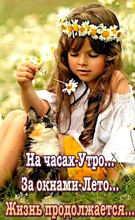 За окнами Лето Жизнь продолжается