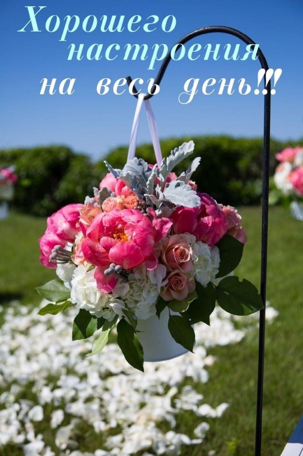 Хорошего настроения на весь день