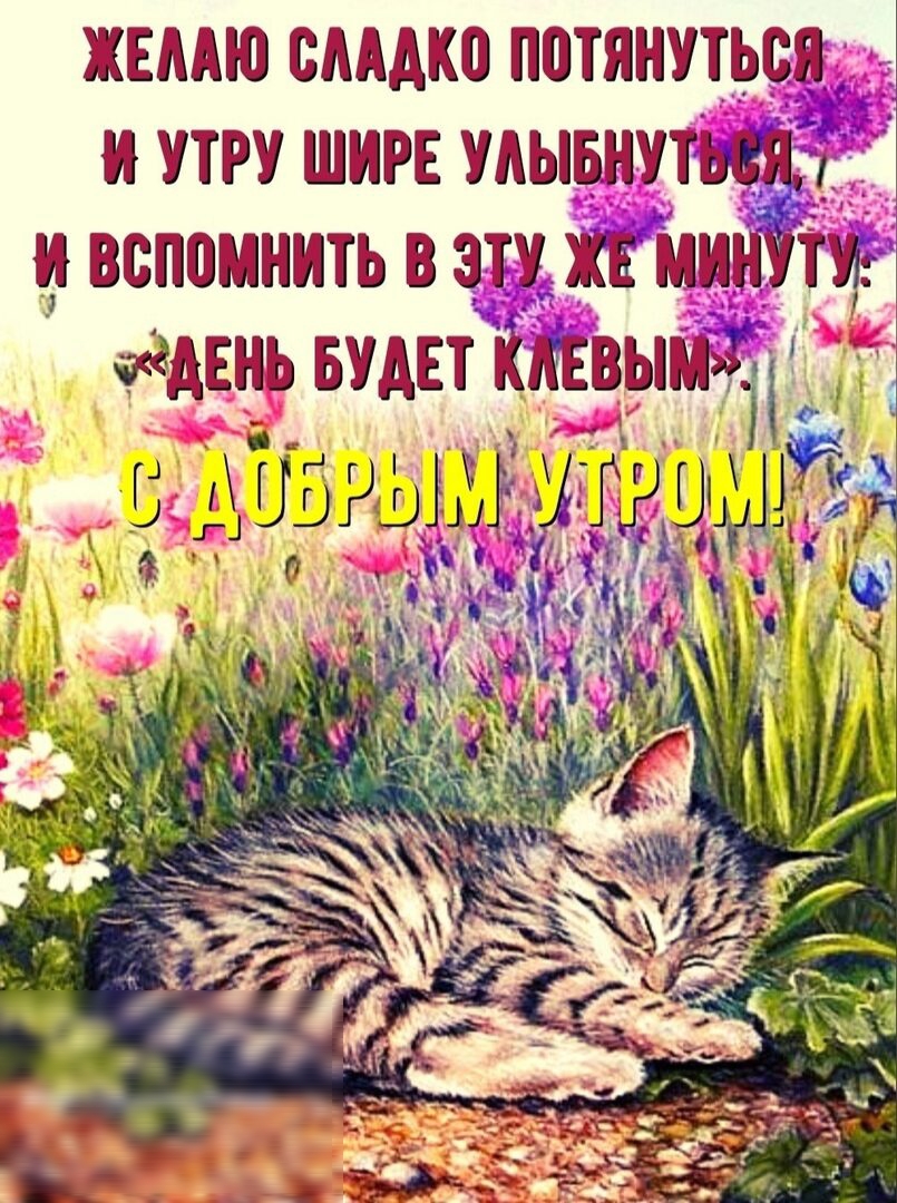 жвпдю самка потянуться тт тттт шигт тттывнтт спамнить эт дань тый Ь 331 11Ё_Г