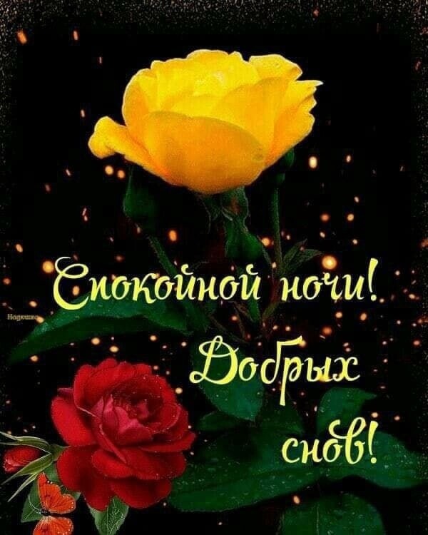 51 _ в о і Ёидквйнбй ногші