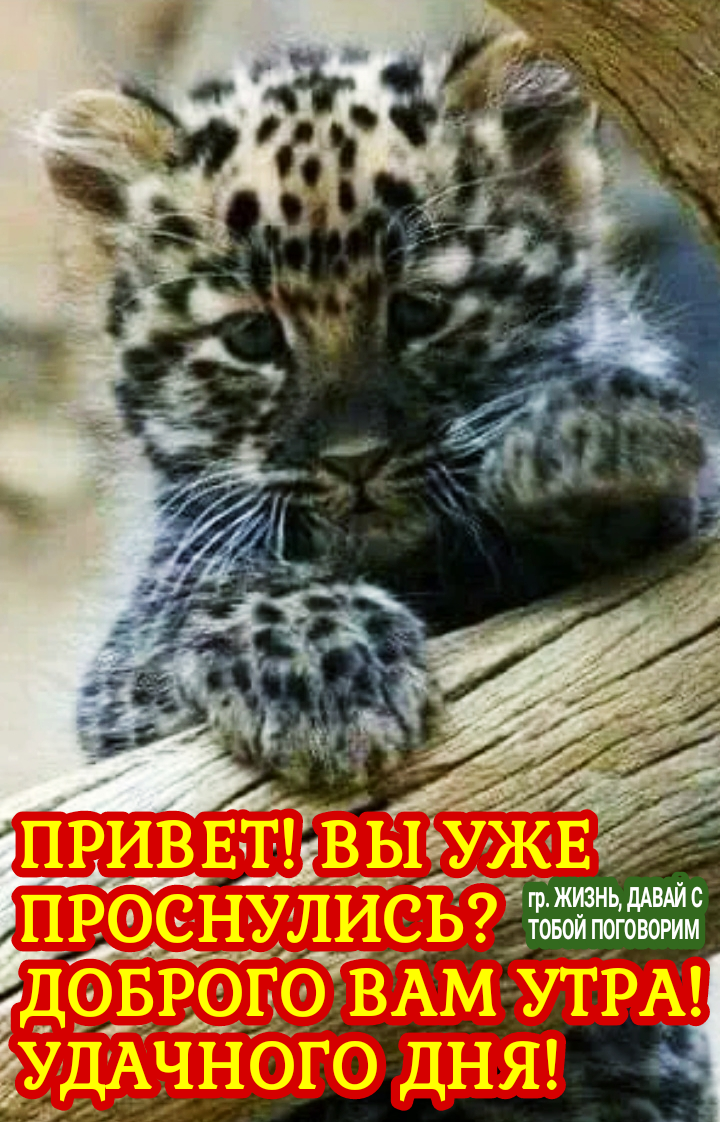 Ё жизнід дАВАЙ с товои поговорим