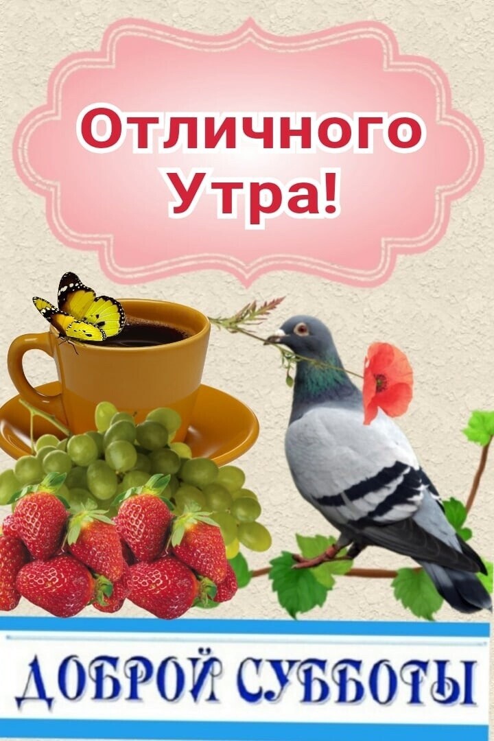 дочагой сутзоты