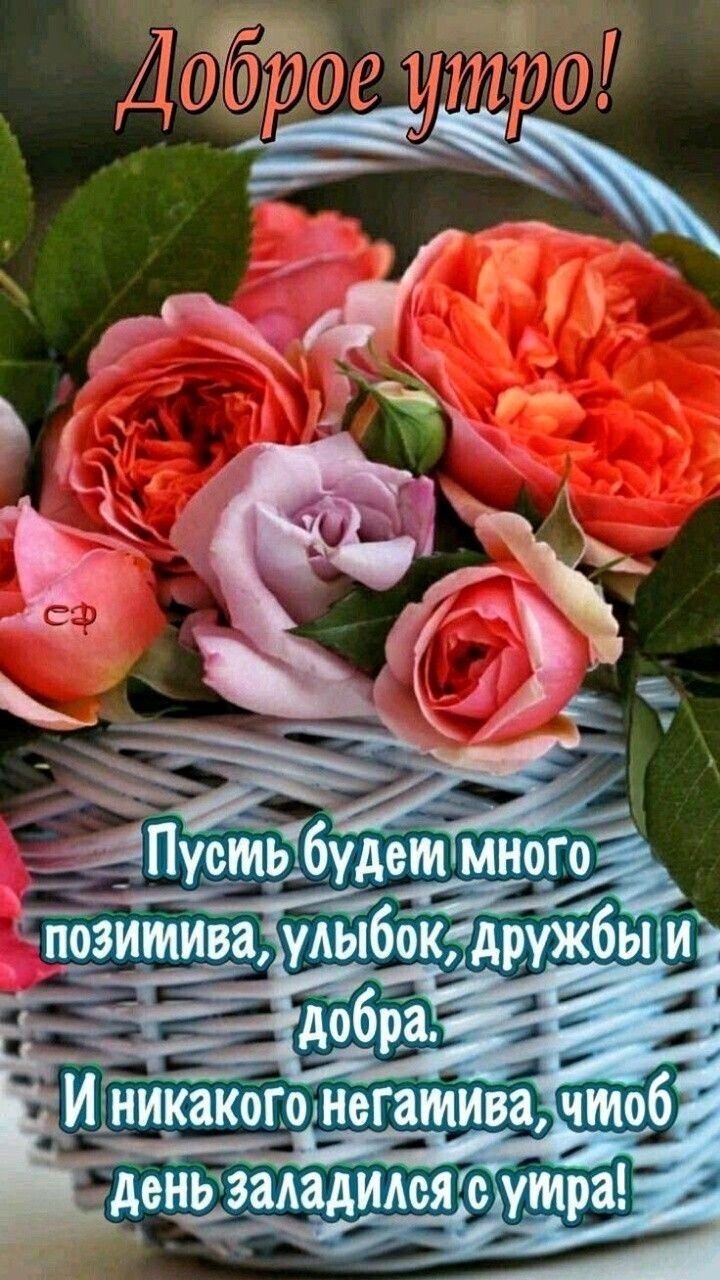 то тттчту Шиш гэыд