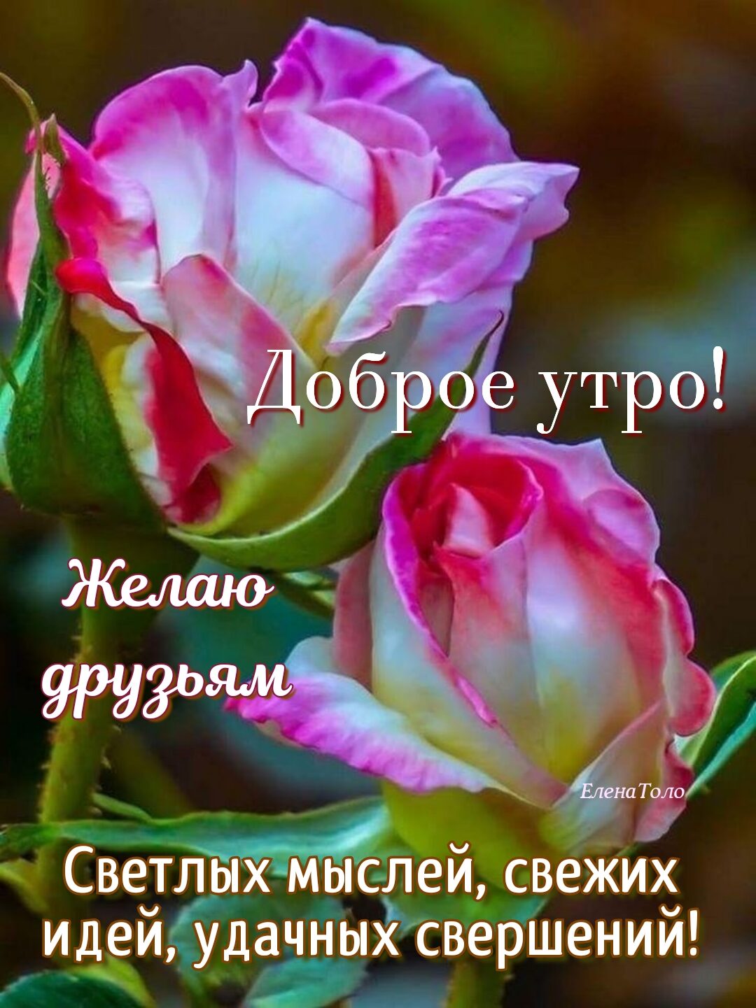 Ч ё Светлм мыслейс веЖИх ИДЕЙ дачных СВЕ ШЕНИИ у р