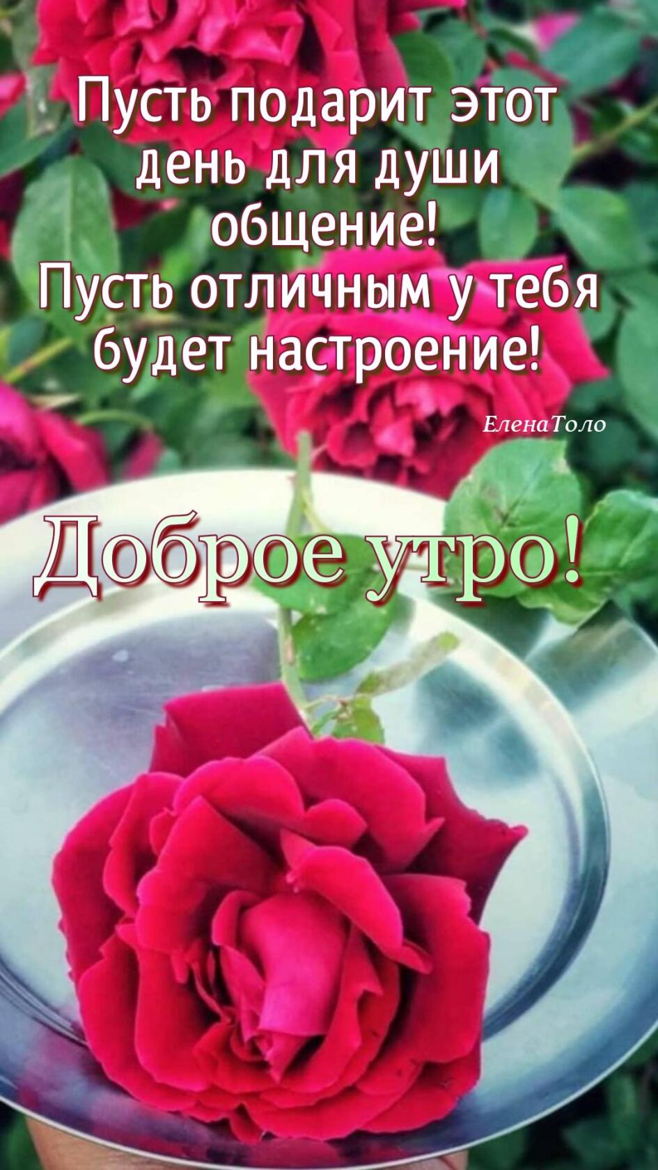 А 0 Пуёть подарит эТот день для души 06щ Пусть отличнымдуьтебя будет наслтроение т Елена Толо