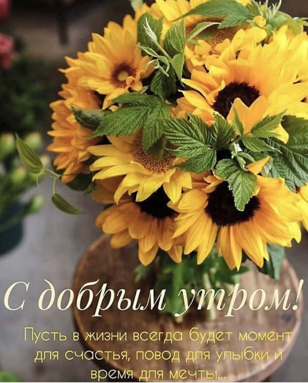 Т Ь 1 из в жизни всег О Тіг