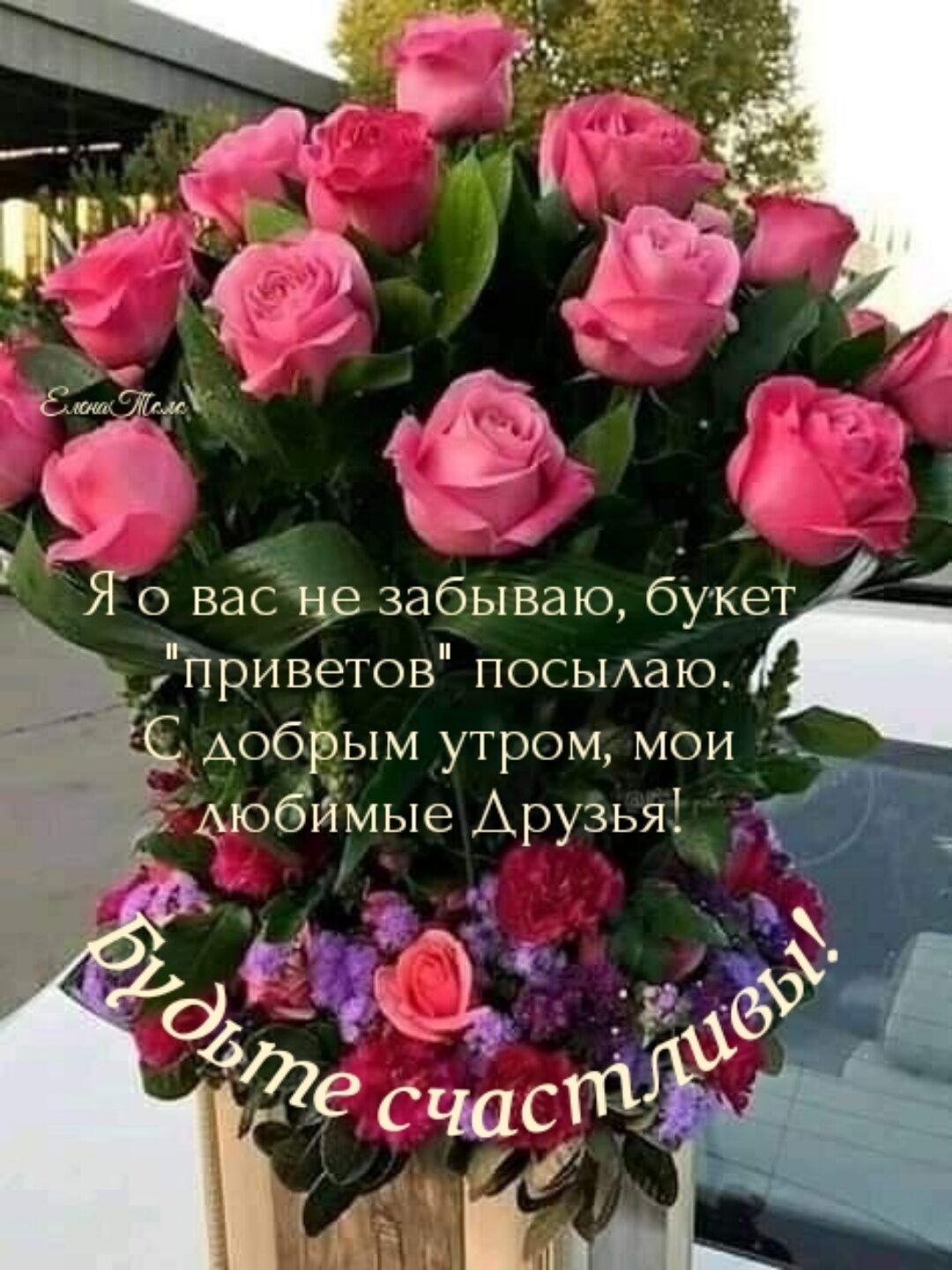 добрым утром мои Аюбймые Арузья
