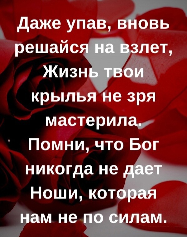 даже упав_ вдовь решайс лет Жизпіпз крылья не зря мастерила Помни что Бог никогда не Ноши кот нам не лам