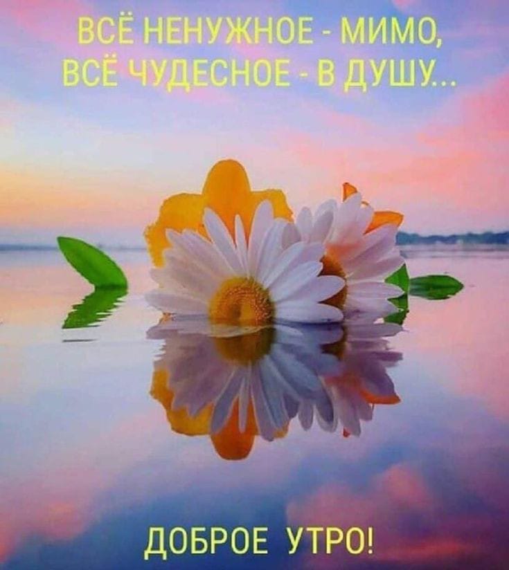 ч ім юг гитыч