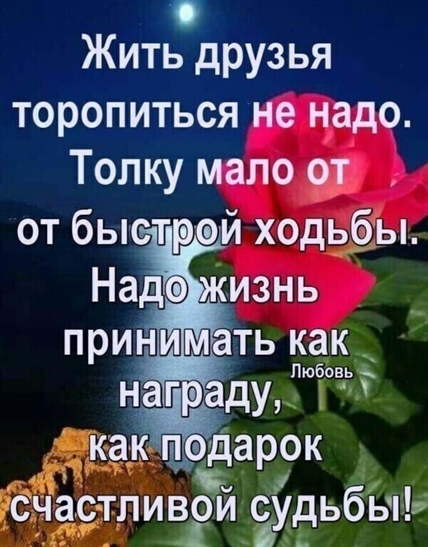 Жить друзья торопиться не надо Толку мало от от быстрей ходфы какёрпеёщарок дц рчардлизги судьбь ьчб