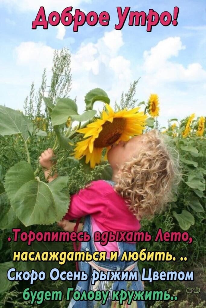 Скоро Осень рьяжиЦветом Щшцід