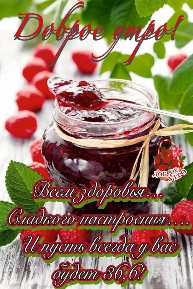 666680761 МММ т 06 6
