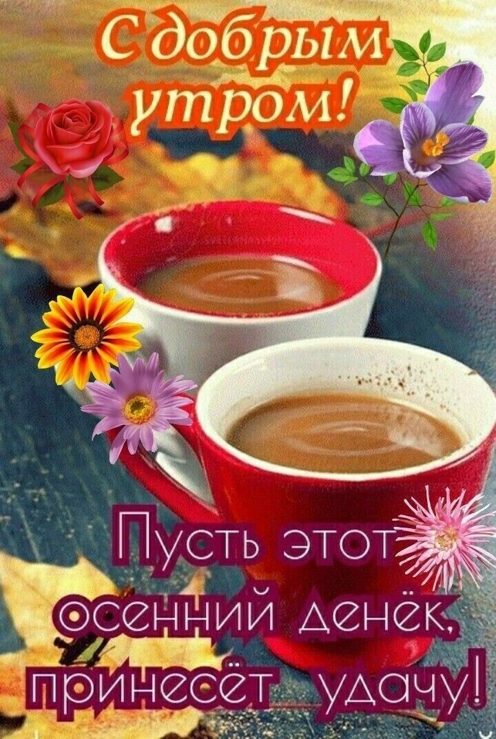 С добрым