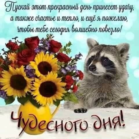 і илшттылмшштищшщёмжшю