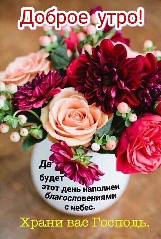 Тт день анал и 5Лаюсловениями