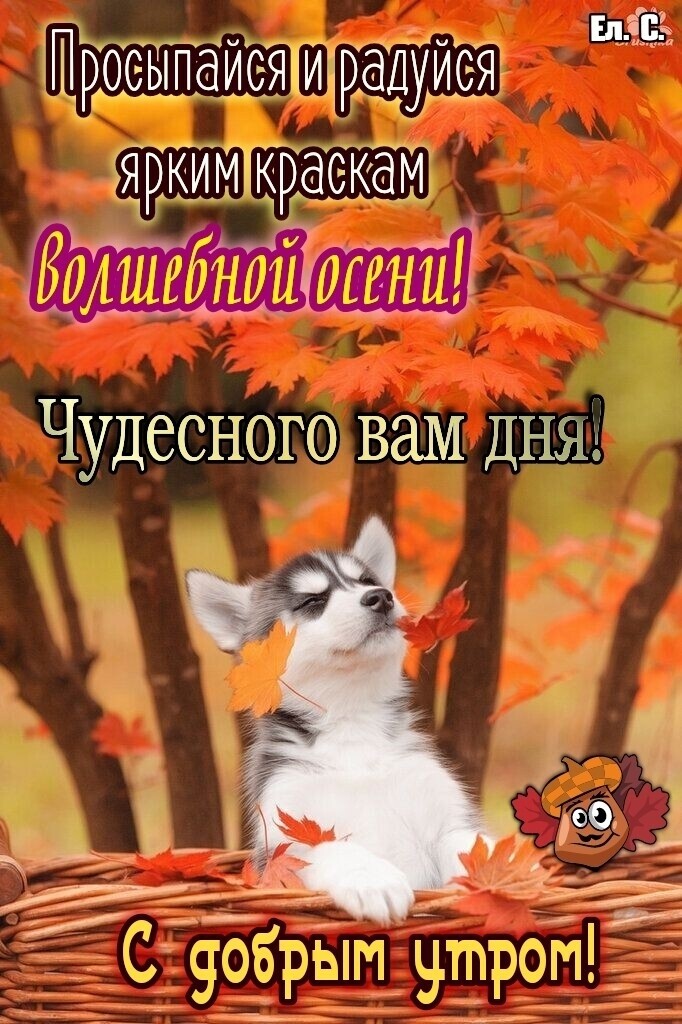 По _ ыёё ро йицрадуис Яэ ЁРКИТМЖ дСКдШ 2 1 1 т к ігъ ыъ