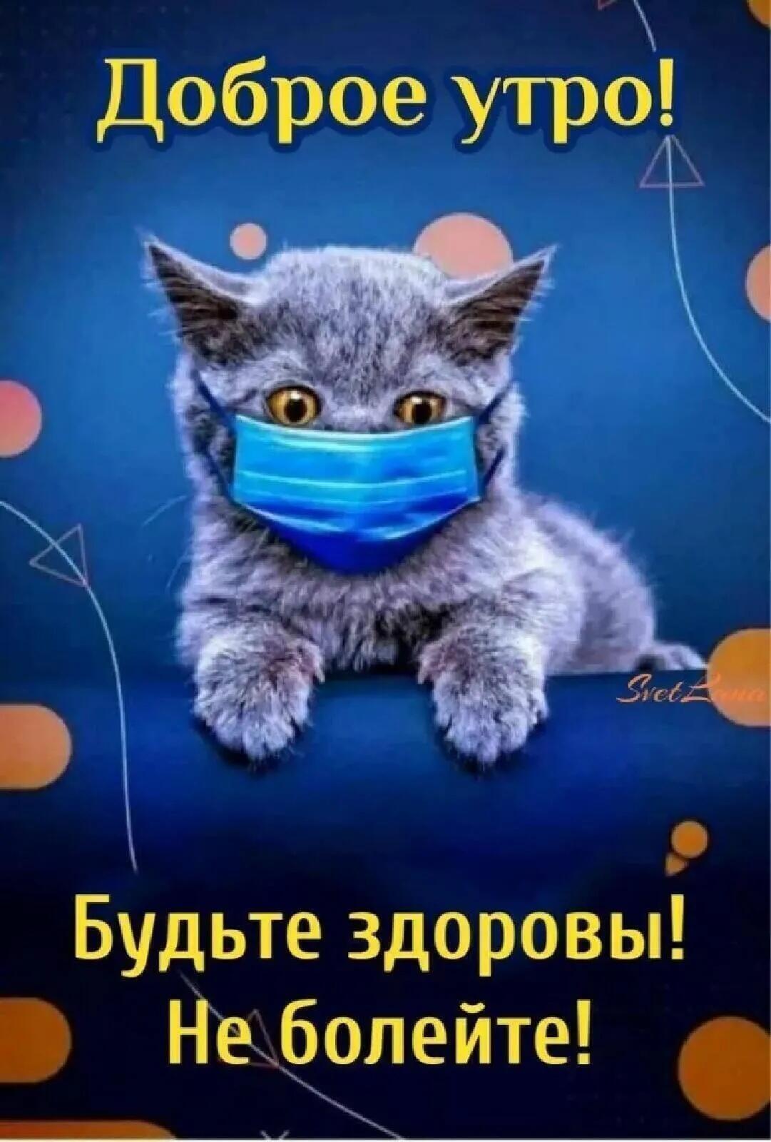 Доброе утро К Будьте здоровы Некболейте