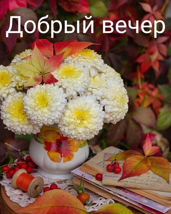 Добрый вечер