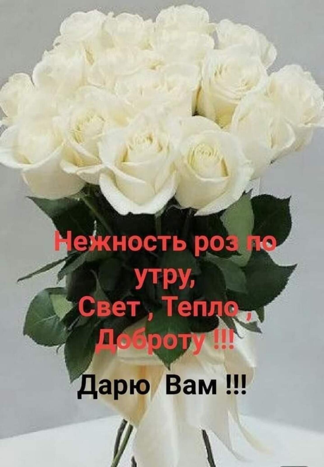арю Вам И