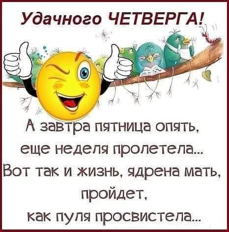 Удачного ЧЕ ТВЕРГ А А завтра пятница опять еще неделя пролетела Вот так и жизнь ядрена мать пройдет как пуля просвистела