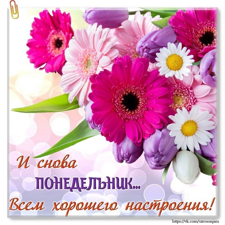 Вш яж евр івшшсющш