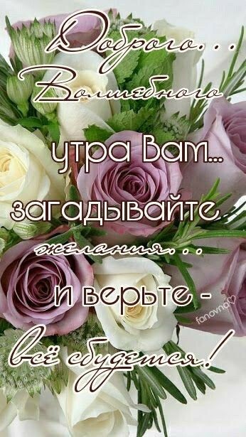 жид Ывгатюи 3 3 згсгд