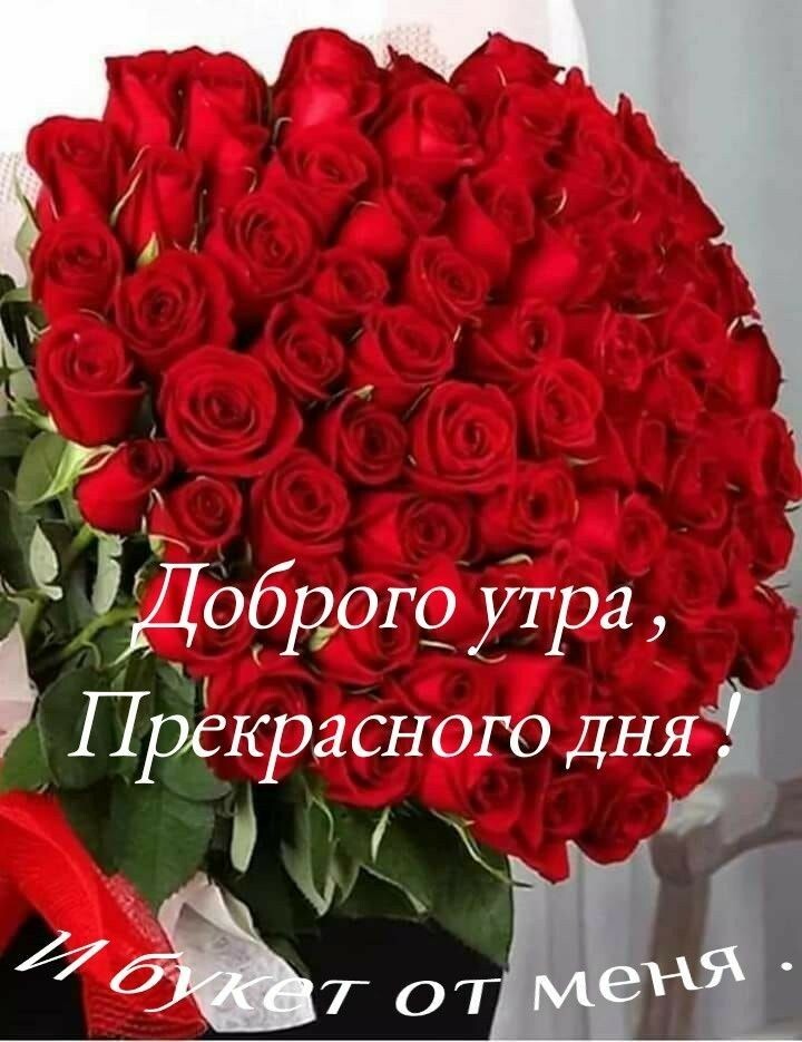 Доброго утра Прекрасного ДНЯ 5 Ч дт от