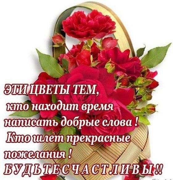 шлет п екраснь