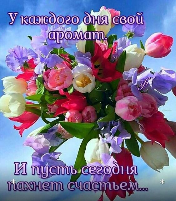 щсть аегэбня _