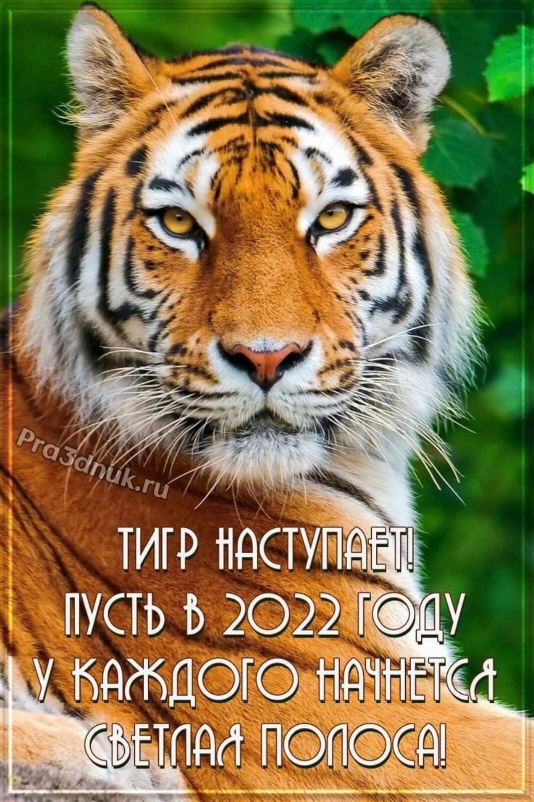 пусть ь 2022 юду у каждою нач Е ют стиши по Ад