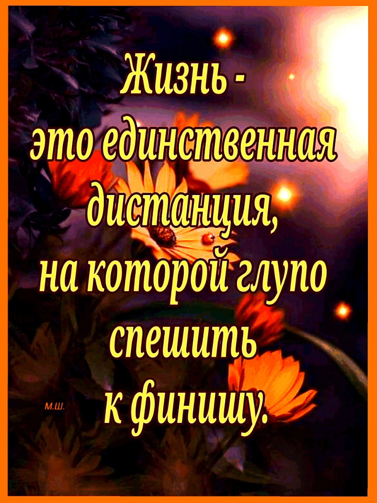 Ыся дд щшящ _ ЕТА х_ М Ю СЫЬ Кфтжщ