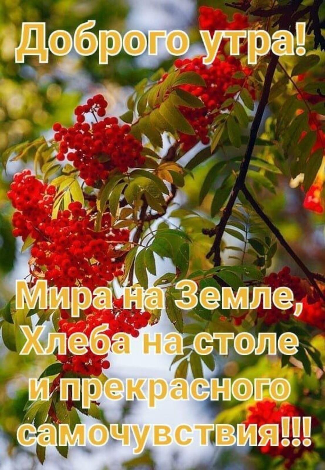 рад ратго ут