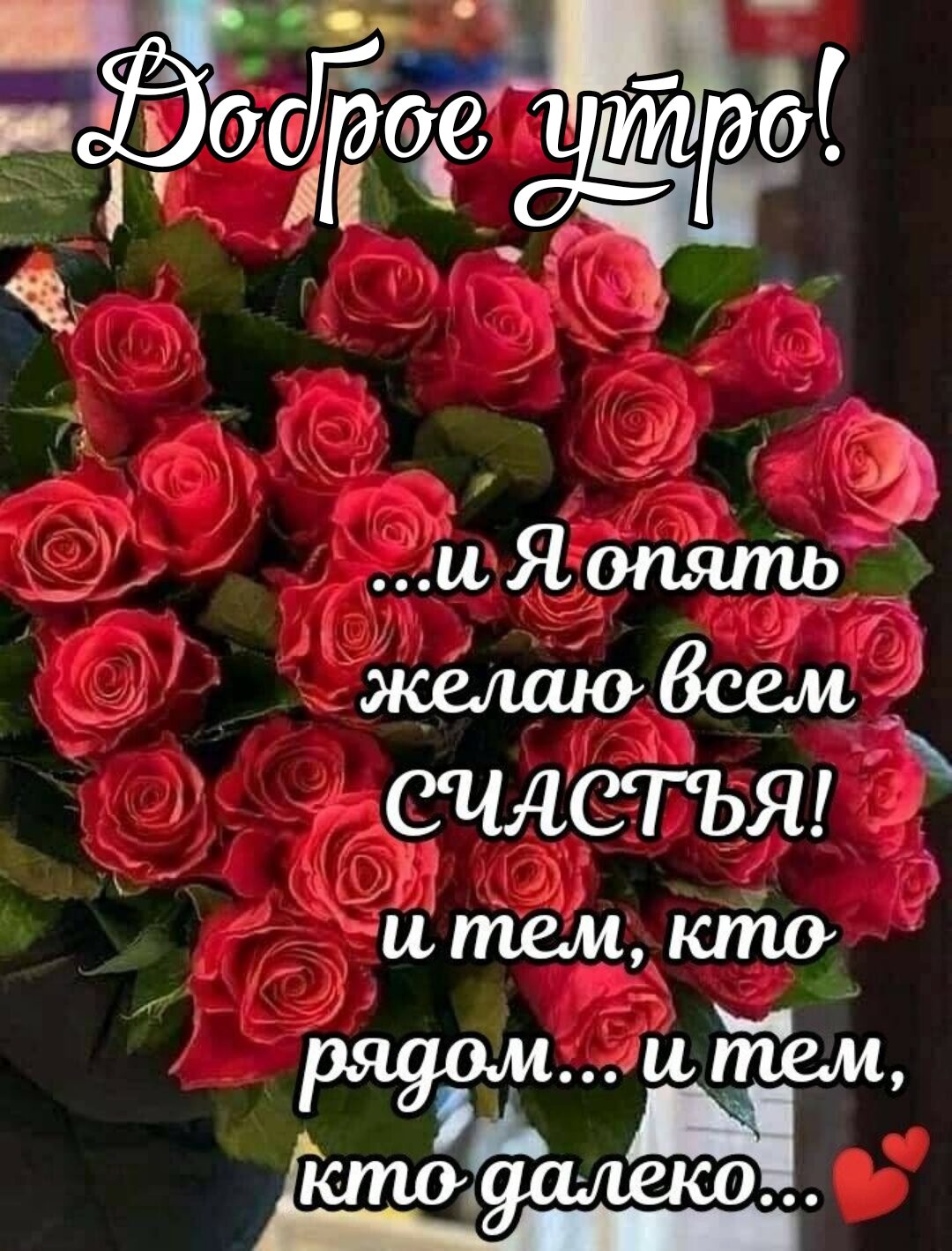 ЧЧСГЩЗ 9 а иЯопять силстъя _ КЁЪО 9аілеК0