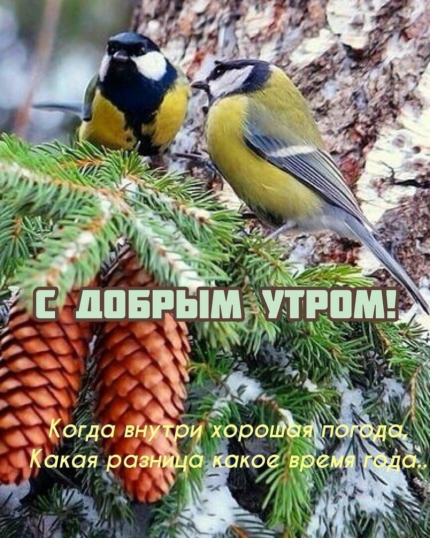 ская раз _