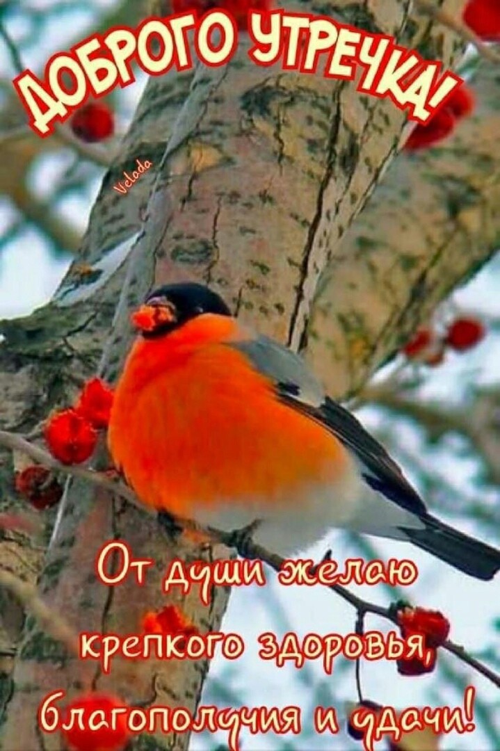 ы 2 от ач оо крепкогёэ здеороыя блсгопод?чия !ёъё'ч.иё