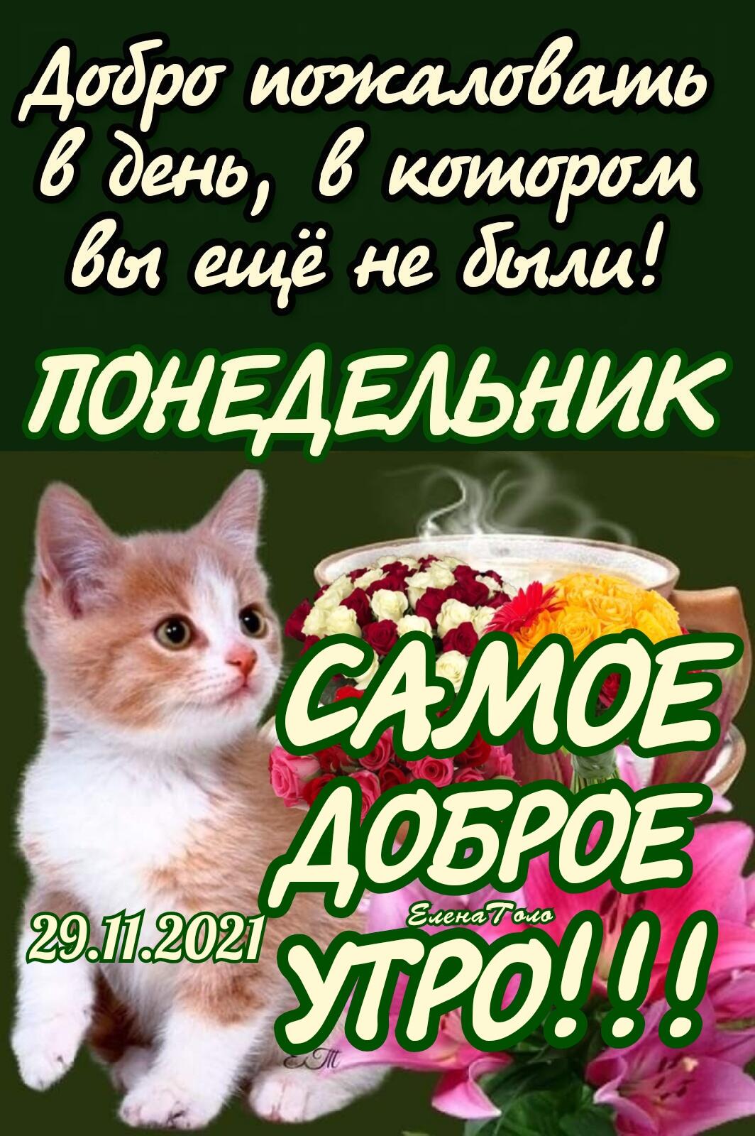 Додіоо идишабать день 6 сторож бы ещё не были