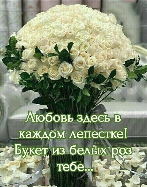 г' аюбовь здес! В каждомаепесгке