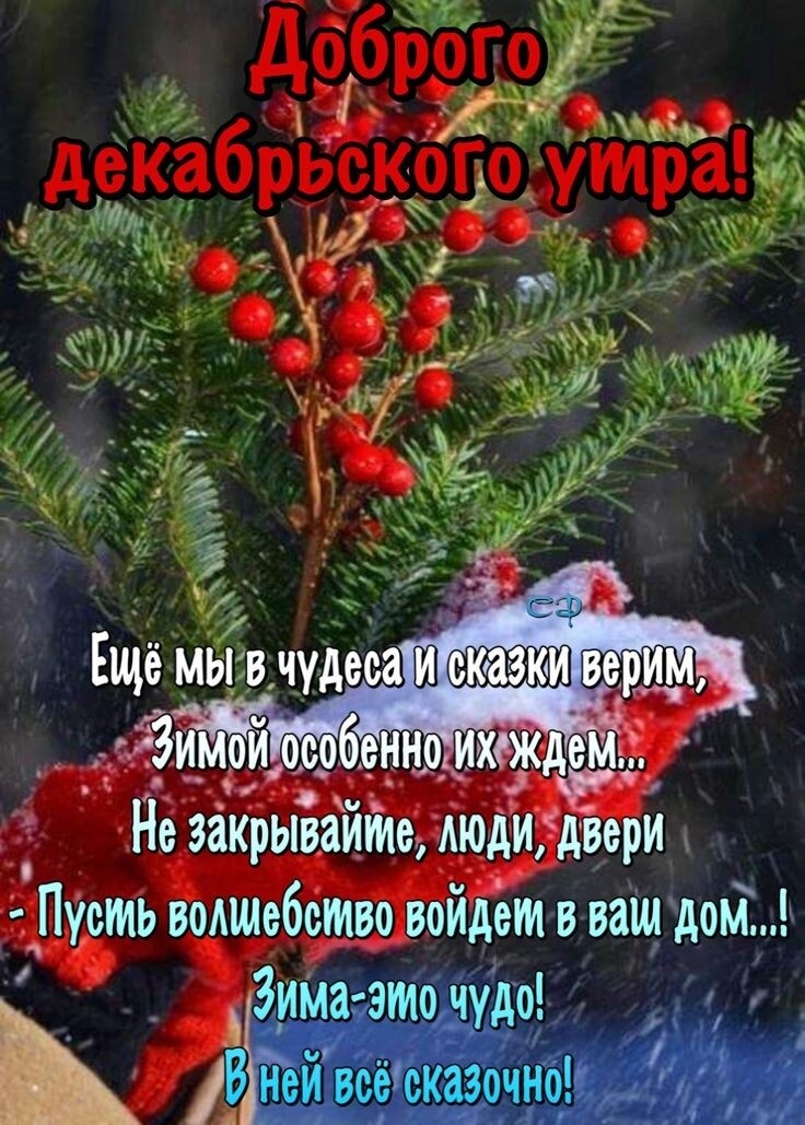 Пусть воммебство войдёт в ваш дом Зинаэто чудо вши