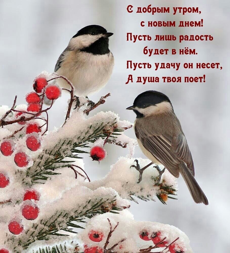 3 добрым утром с новым днем Пусть лишь радость будет в нём Пусть удачу он несет душа твоя поет