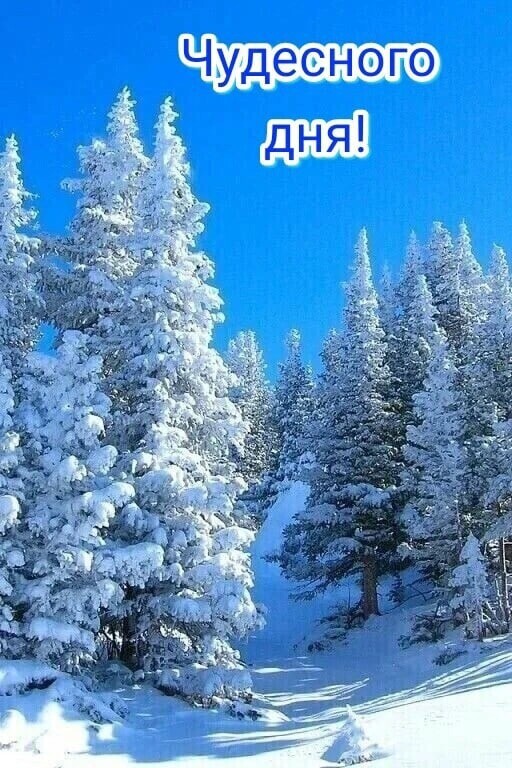Сного нуде
