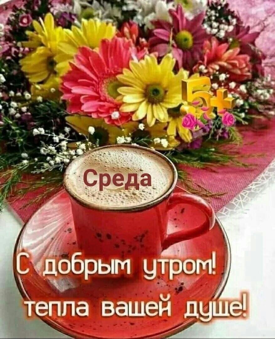 добрым утЁэт тепла вашен душ