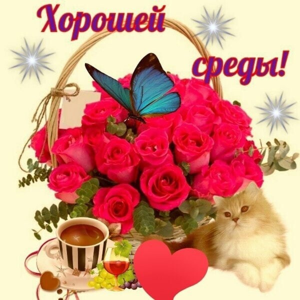 Хорошей _ 7 о _ _ Л_ц