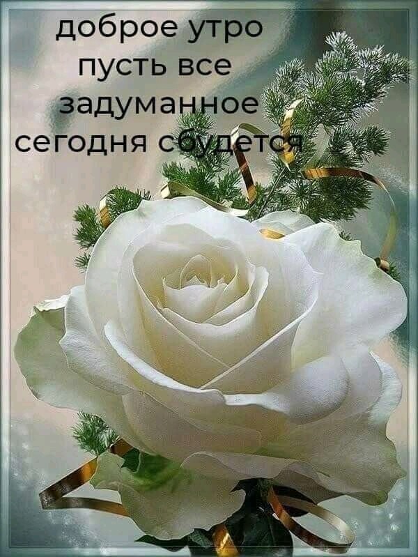 Доброем пусть все, вадумацни сегодня с