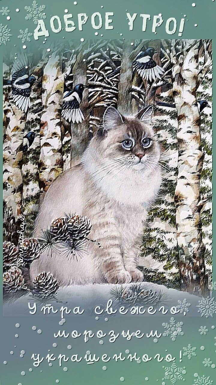 _Э А я5 _ 4 аула и со Вы инди ши д и 13 А ц