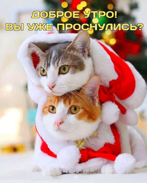 Брое9тро'