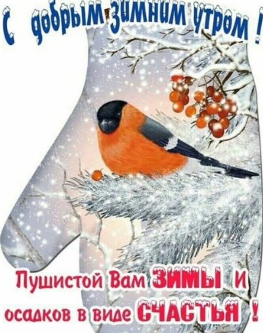 4_ _ _ __ _ _ _ _ к__ гв __ _ _ _ ___ 4 1 1 Пушистой ВамЧЗШЫЁ осадков ёвйде ждём
